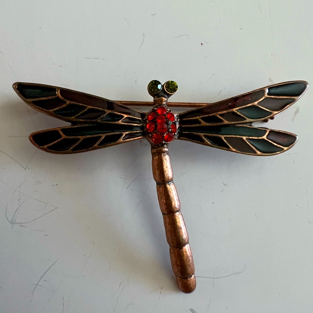 Artistic Brown and Red Dragonfly Wall Art